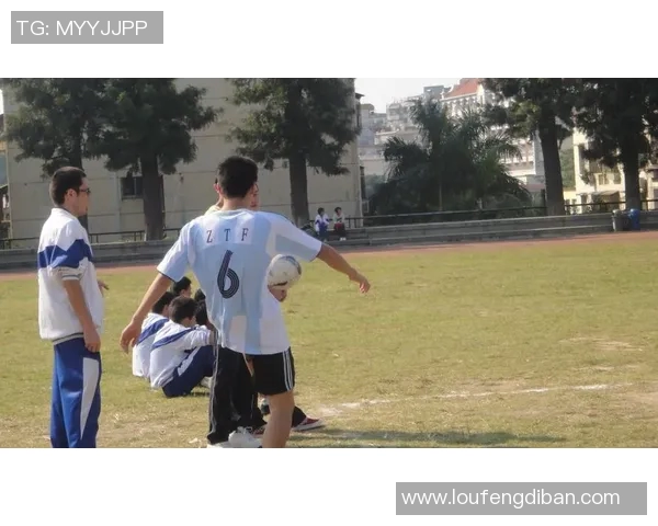 李林足球比赛直播观看指南及各大平台推荐